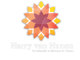 Harry van Hunen Webshop