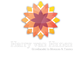 Harry van Hunen Webshop